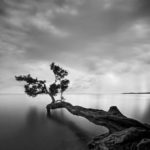 curso de fotografía sevilla