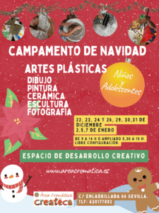 Campamento de Navidad